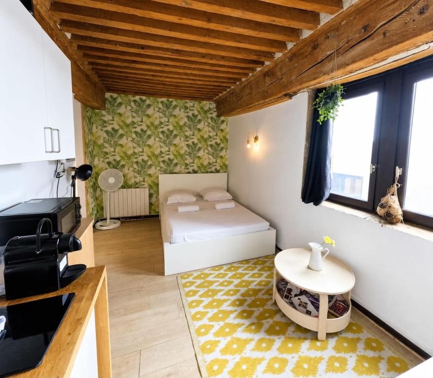 Charming 21m studio - Opéra & Terreaux Lyon