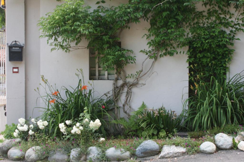 Ogród w obiekcie Guest House Al Devesio