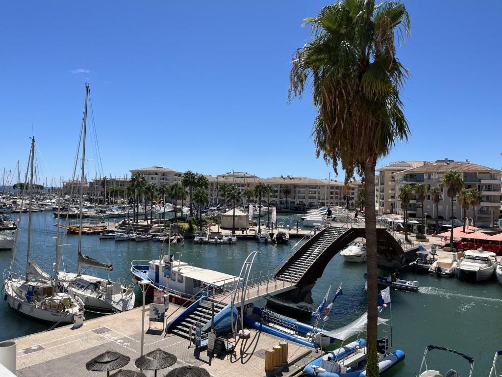 Port attache T2, 50 m2, magnifique vue port