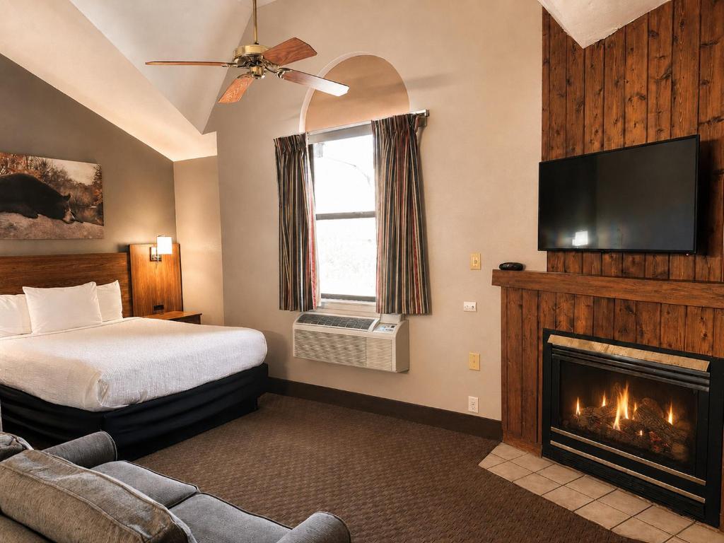 Sidney James Mountain Lodge - 