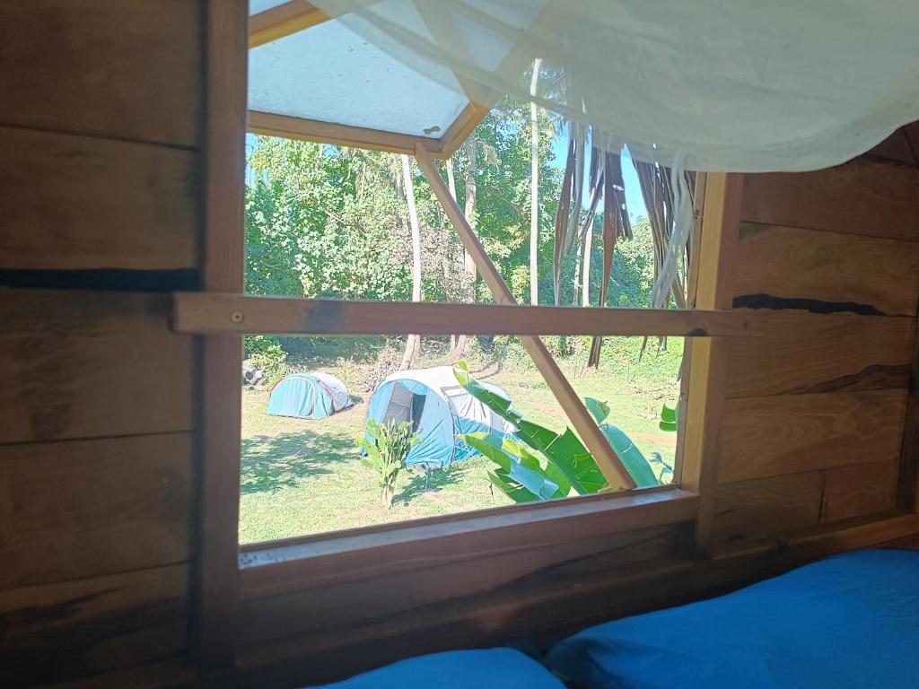 Camping I'te fare - photo 10 - Moorea, Polynésie