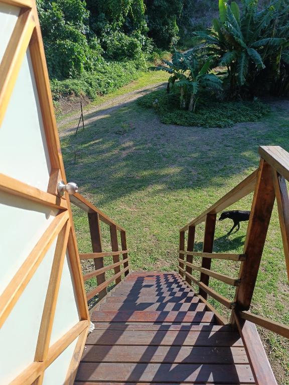 Camping I'te fare - photo 11 - Moorea, Polynésie