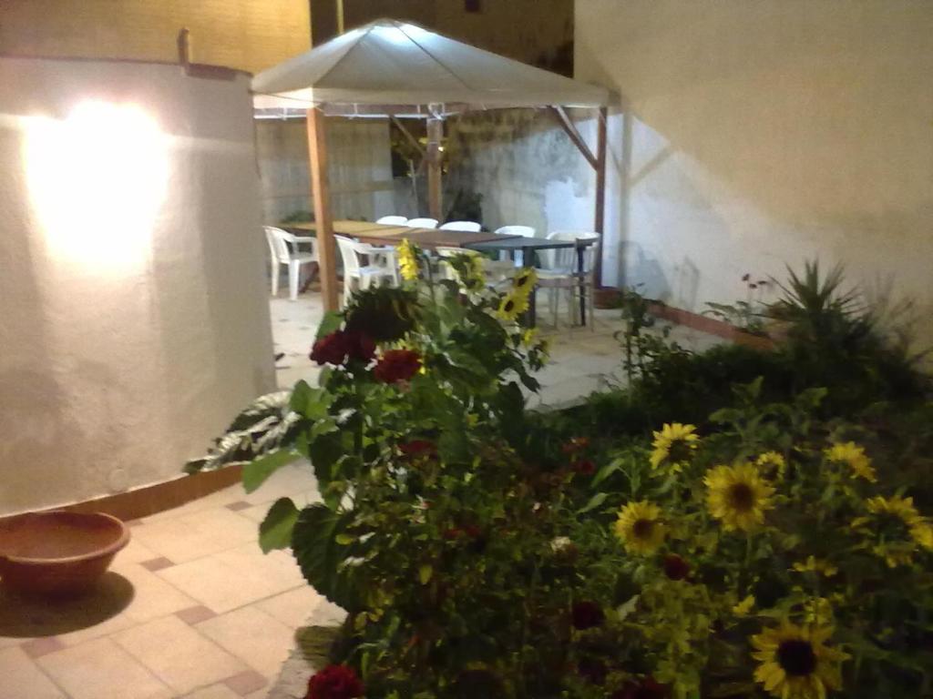 Zahrada ubytování B&B Pacheco