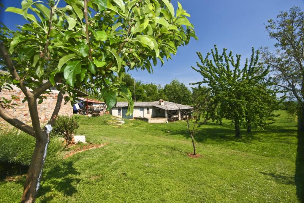 Ogród w obiekcie Holiday Home Orihi
