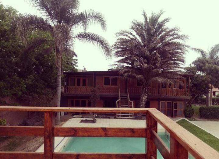 a house with palm trees and a swimming pool at Beautiful House in Heart of Pachacamac in Pachacamac