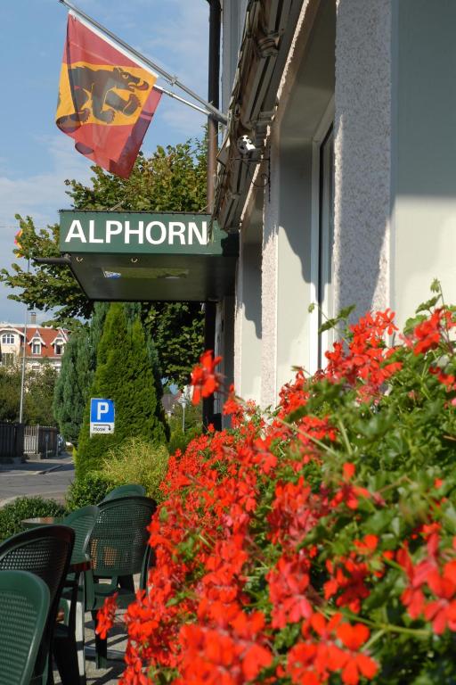 Hotel Alphorn - Resim 16