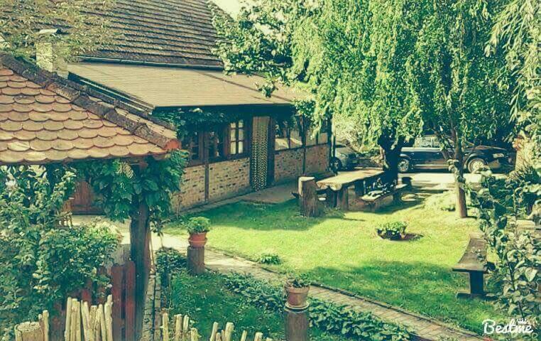 a house with a picnic table in the yard at Etno kuća Stari Dud in Erdut