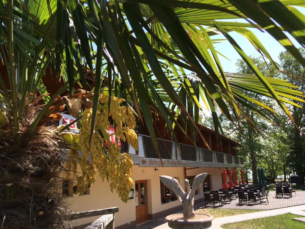 un edificio con una palmera delante de él en Hotel Halászkert Badacsony, en Badacsonytomaj