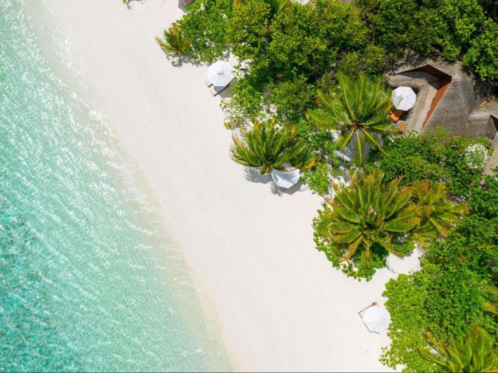 V Villas Maldives at Mirihi - MGallery Collection - View 28