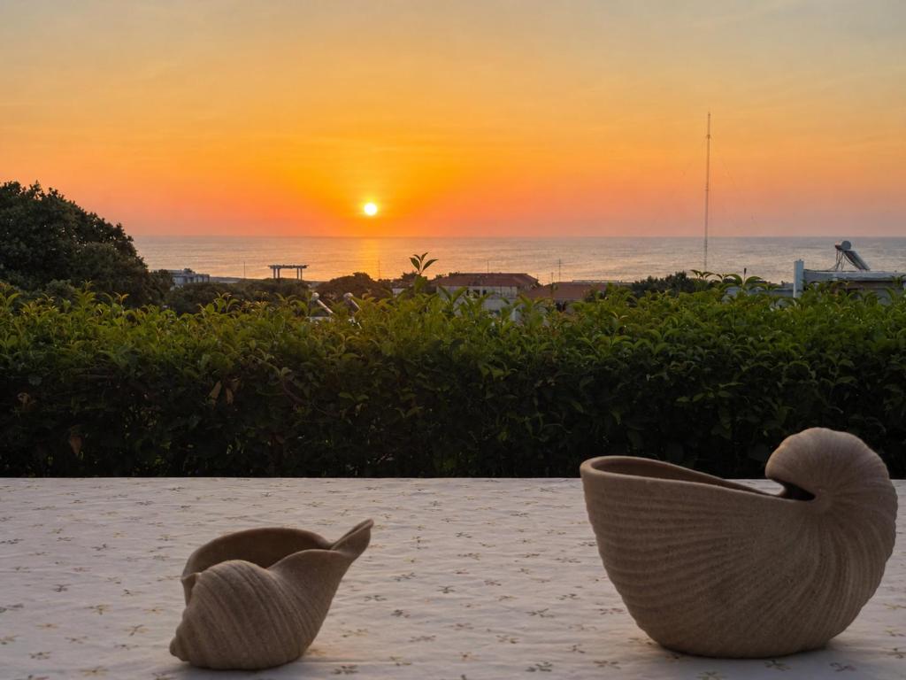 Alkion Villa Sea View, Olive Tree Garden & Spacious Terrace