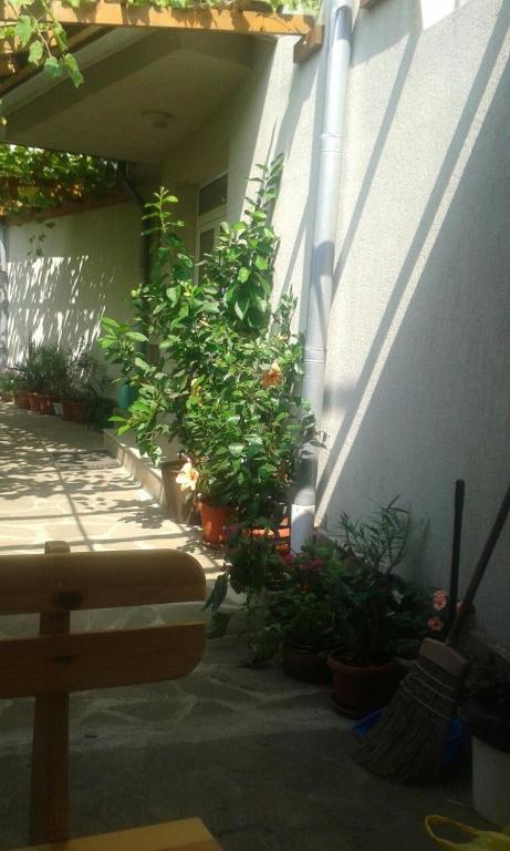 a porch with potted plants on the side of a building at Prestige in Sinemorets