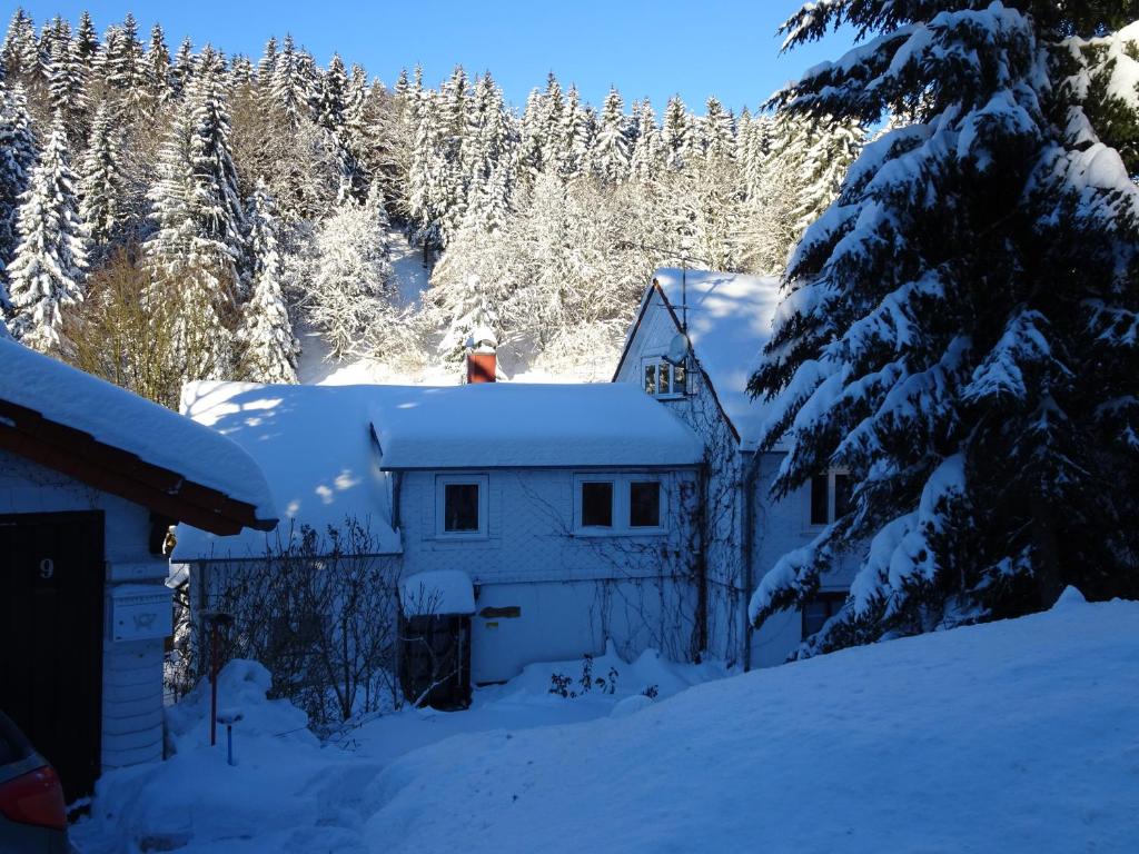 una casa cubierta de nieve con árboles en el fondo en Ferienwohnung Bauer Alter Hammer, en Schmiedefeld am Rennsteig