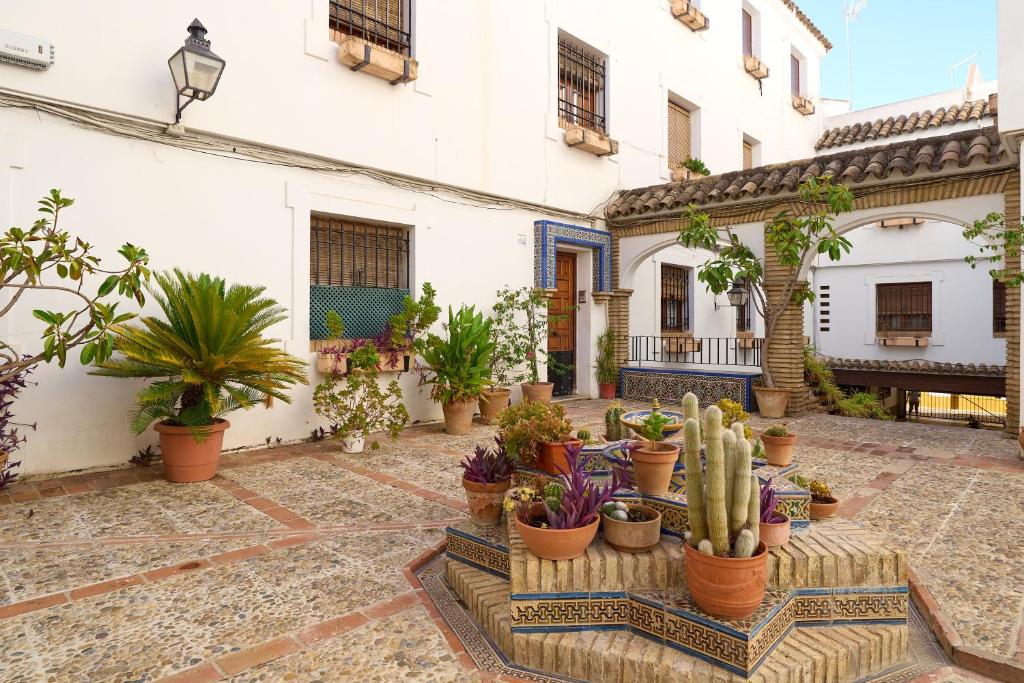 Medina Paradise Cordoba