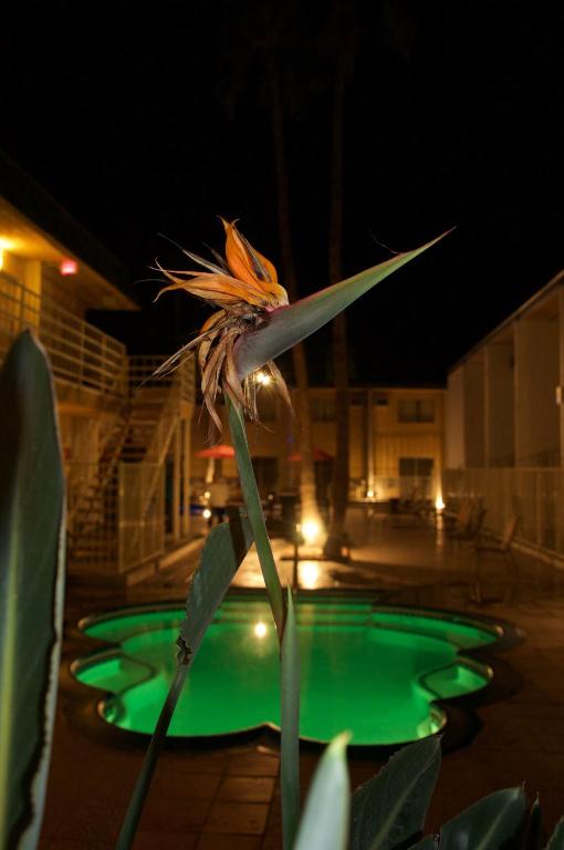 Fotografie z fotogalerie ubytování Delos Reyes Palm Springs v destinaci Palm Springs