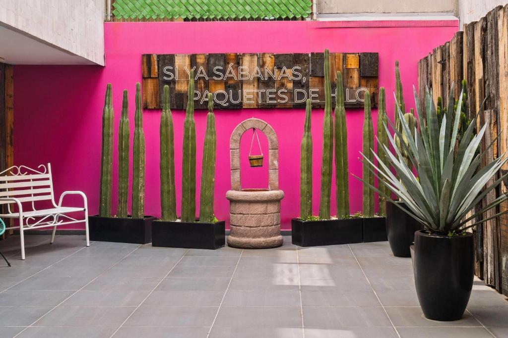 A close view of the hotel’s vivid courtyard feature wall and landscaping.