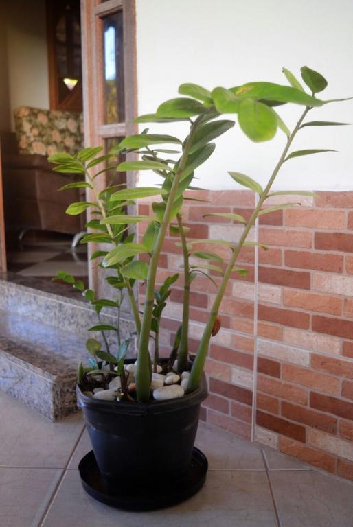  Gardênia Suítes & Kitnets