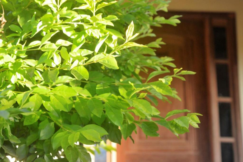  Gardênia Suítes & Kitnets