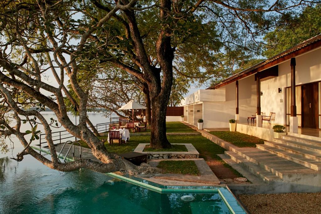 a house with a swimming pool next to a tree at EKHO Lake House in Polonnaruwa