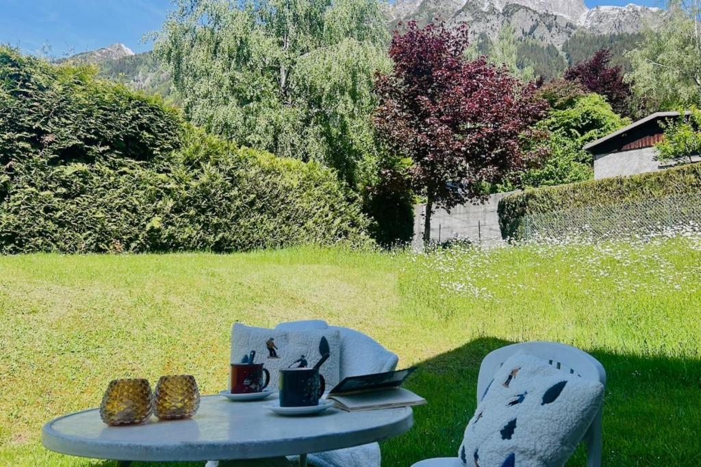 Cozy with garden parking and Mont-Blanc view