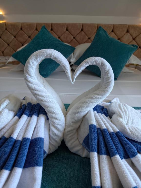 Alma Maldiva, Beach Hotel - View 24