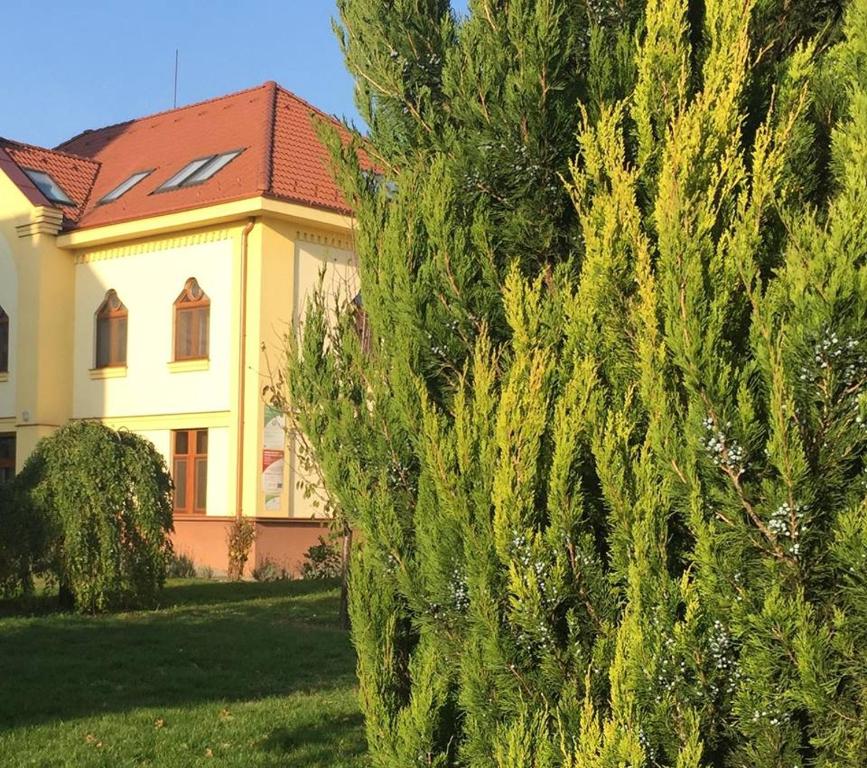 Ogród w obiekcie MAMRE Szálló