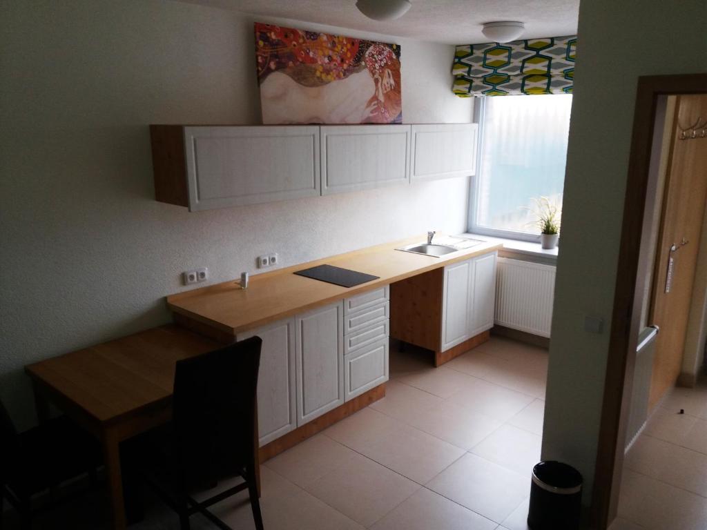 Kuchyň nebo kuchyňský kout v ubytování Hotel Na Šustně
