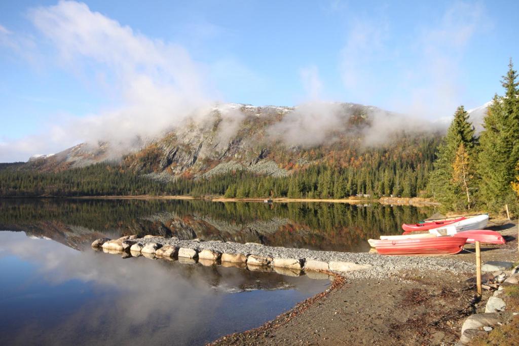 un grupo de barcos sentados en la orilla de un lago en Haglebu Feriesenter en Eggedal