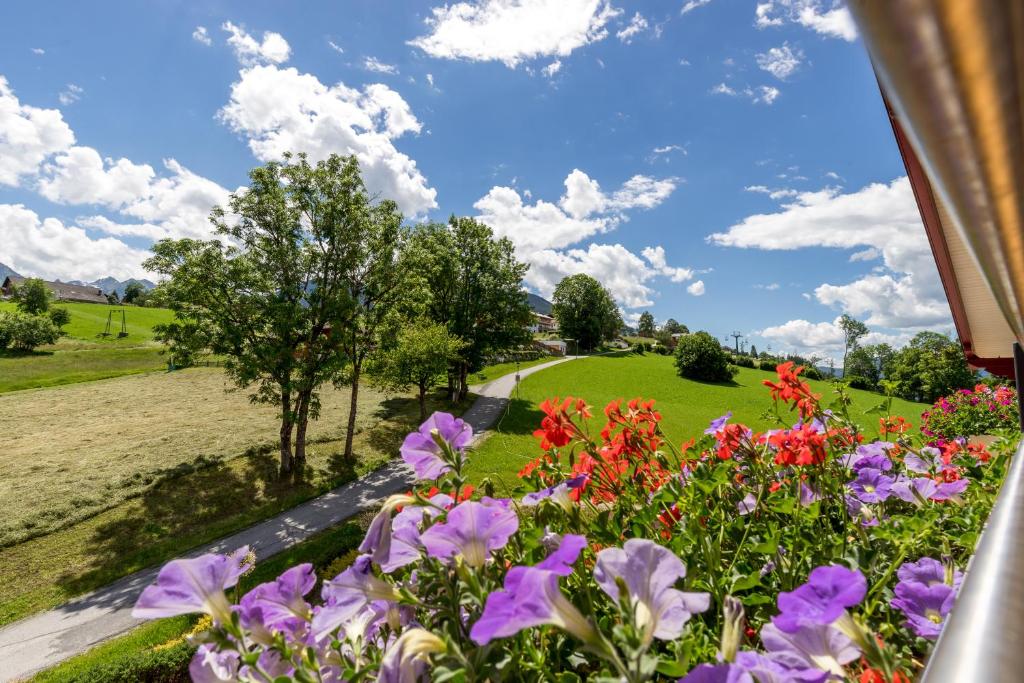 Hotel Schütterhof - 12