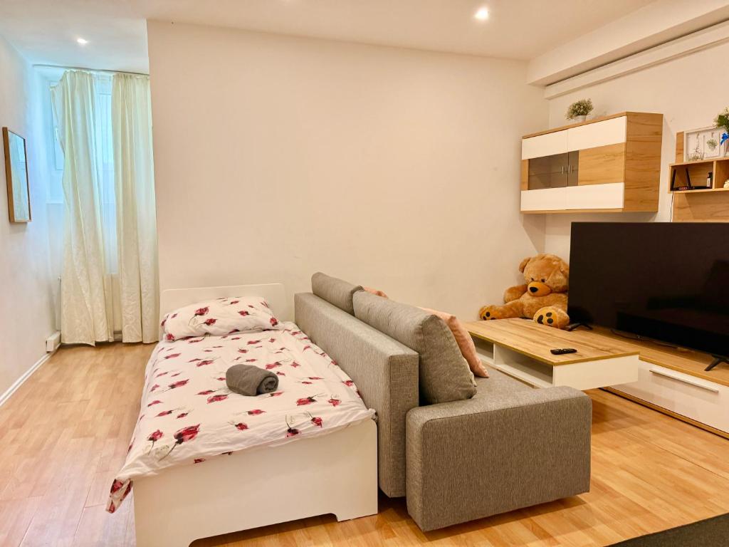 Central Spacious Stone Apartment