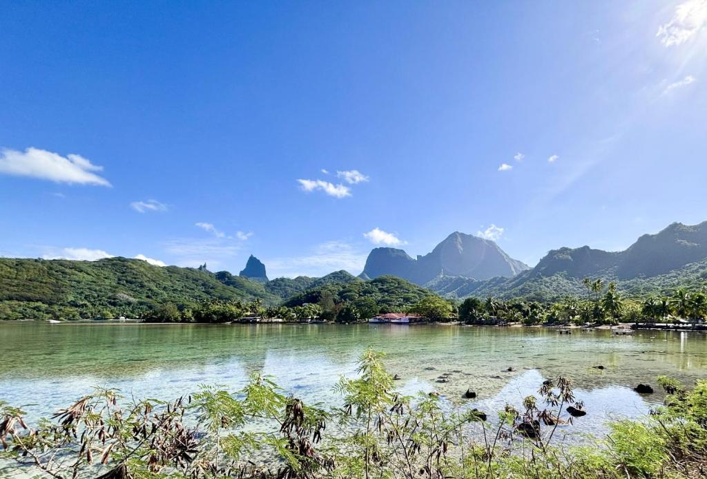 Coco Lodge Moorea - photo 5 - Moorea, Polynésie