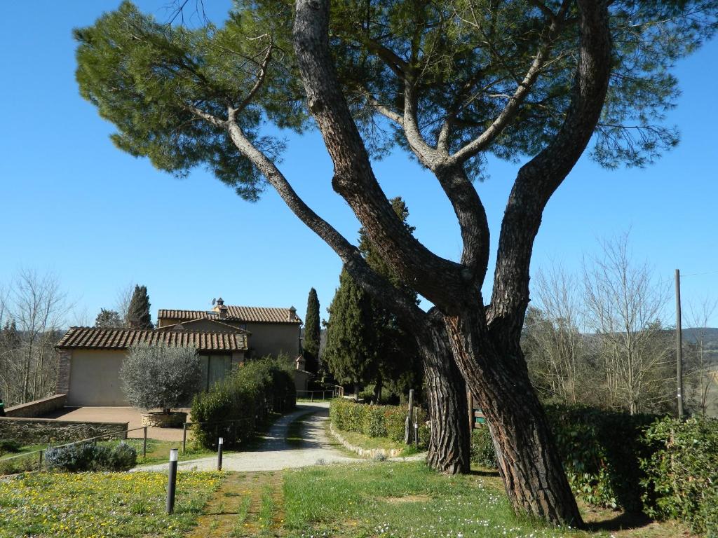 サン・ジミニャーノにあるLa Castellacciaの家の前の木