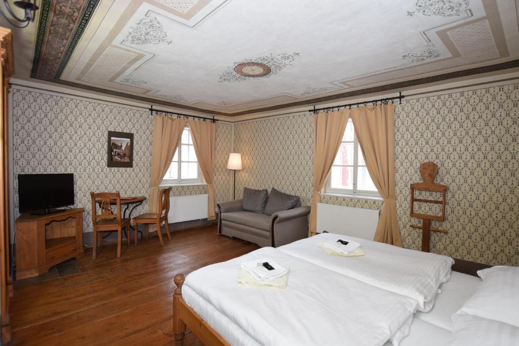 TV a/nebo společenská místnost v ubytování Pension Zámecká Apartmá - Castle Apartments