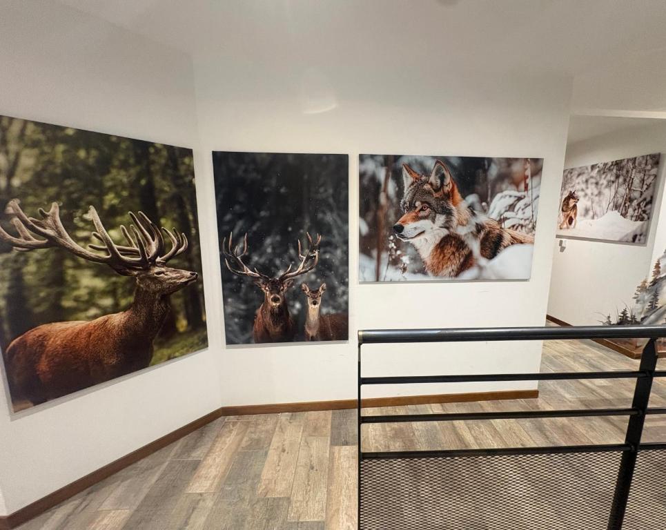 Gîtes Hassenforder – photo 55