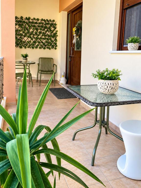 The Elegant Apartment in the Heart of Chios