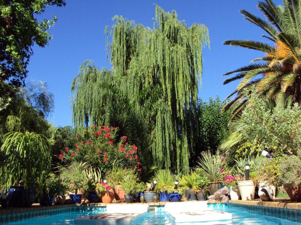 a weeping willow tree in a garden with a swimming pool at a La Fugue in Upington