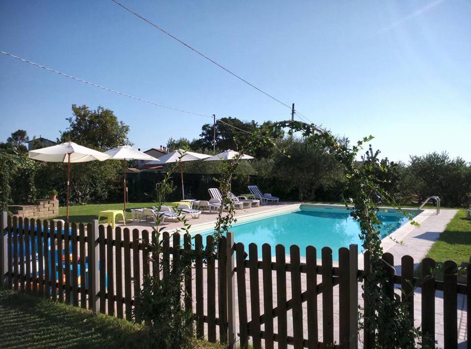 Belvedere Ostrense的住宿－Agriturismo Al Rifugio DiVino，围栏旁带椅子和遮阳伞的游泳池