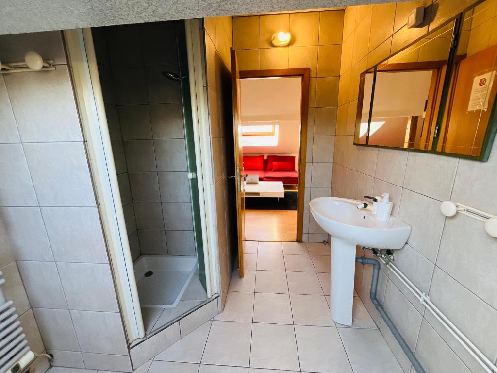 La Suite Mulhouse, Accès Bâle 20min, Proche Gare TGV – photo 59
