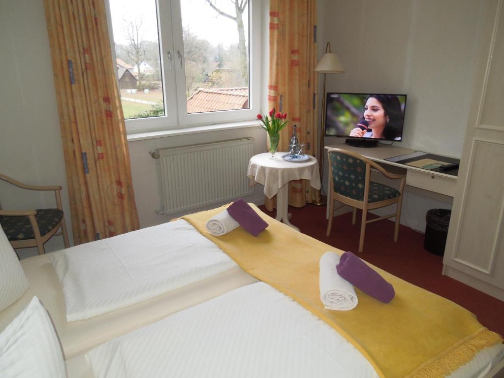 TV a/nebo společenská místnost v ubytování Hotel Schnehagen