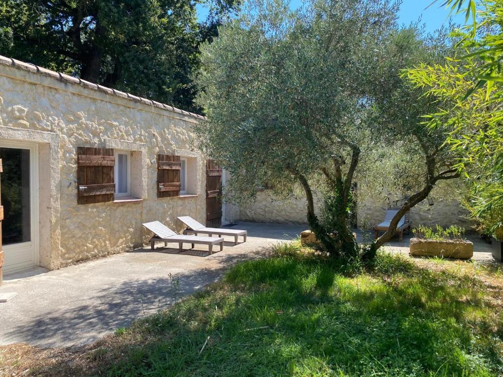 Mazet 2 chambres Île de la Barthelasse Avignon