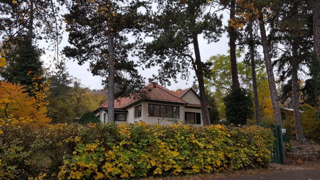 Zahrada ubytování Edit Villa