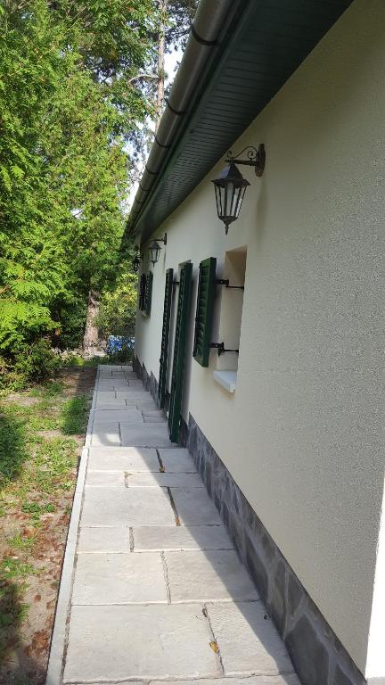 Zahrada ubytování Edit Villa