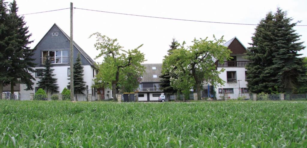 フライベルクにあるPension Hubertushof Monteurunterkunftの家の前の草原