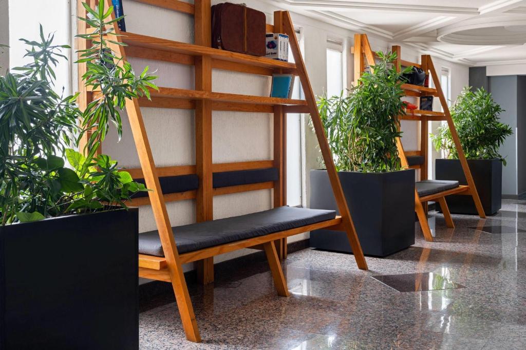 A plant-filled interior seating area with wooden ladder-style benches.