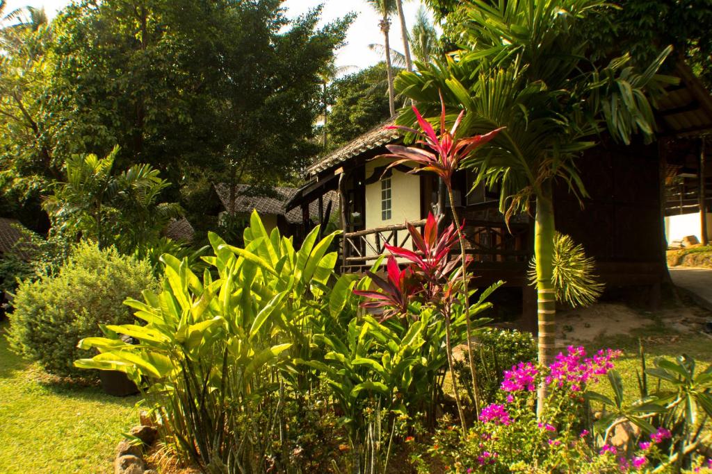 Zahrada ubytování Shiralea Backpackers Resort