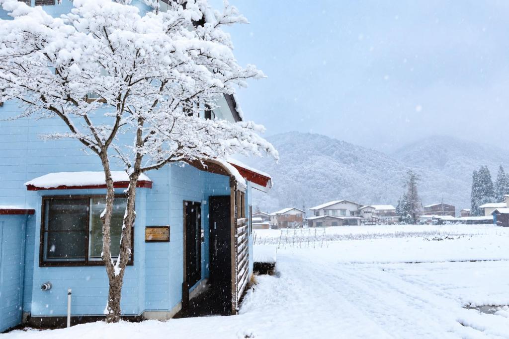 Little Blue House