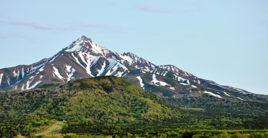 einen schneebedeckten Berg mit Bäumen darauf in der Unterkunft Rishiri Greenhill Inn in Oshidomari