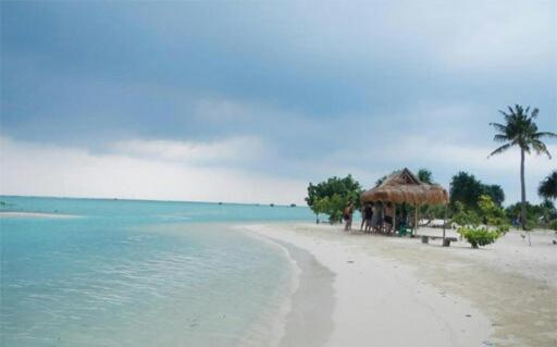 Kepulauan SeribuにあるPari Solata Seaview Homestay Syariahの小屋と海の白い浜