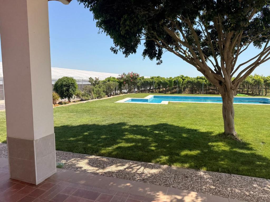 Villa Viñedos