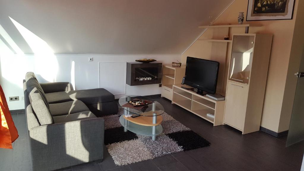 - un salon avec un canapé et une télévision dans l'établissement Elegantes Apartment, à Wendelstein