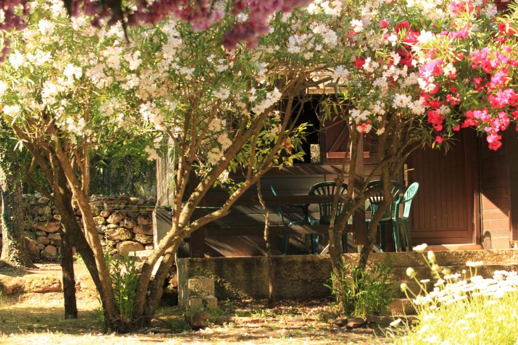 un tavolo e sedie in un giardino con fiori rosa di Résidence Marina Livia a Serriera